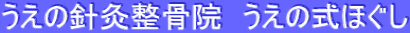 うえの針灸整骨院　うえの式ほぐし